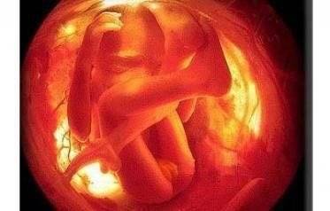 怀胎十月，胎儿排泄物都去哪了？