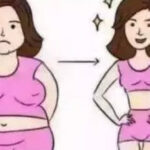 星辉海外：备孕之前要不要减肥呢？