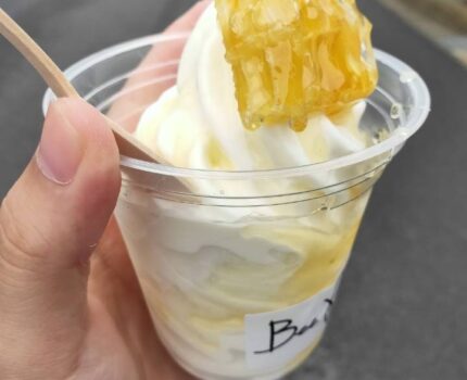 夕日浦海岸的美味蜂巢霜淇淋