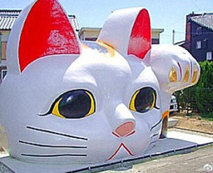 喵星人注意！日本全国猫咪祭典开始了
