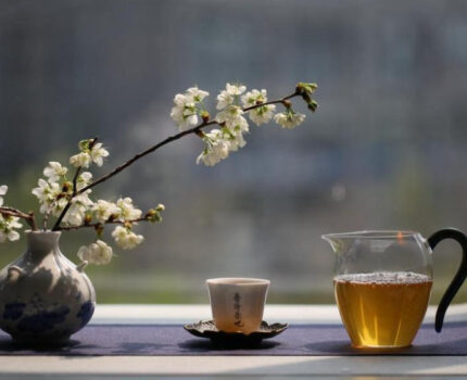 您知道喝普洱茶有什么技巧吗？