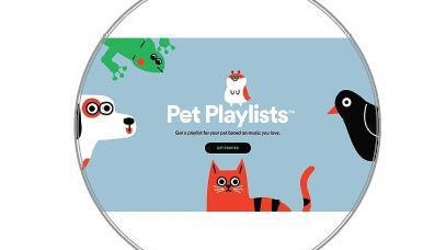 Spotify：和宠物一起听喜欢的歌