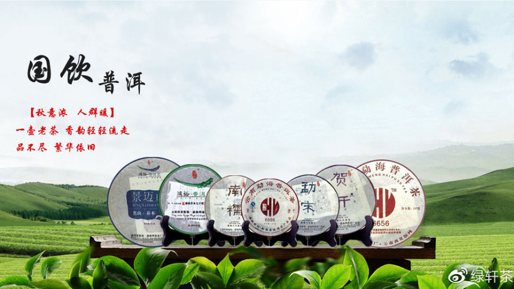 绿轩茶叶|一波十三年精心仓储普洱茶分享，给您满满的味蕾享受！