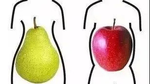科普 | 苹果？梨？你的身材属于哪种型？