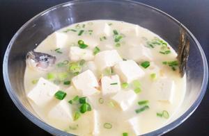 教你做肉质香嫩汤汁鲜美的鲫鱼炖豆腐