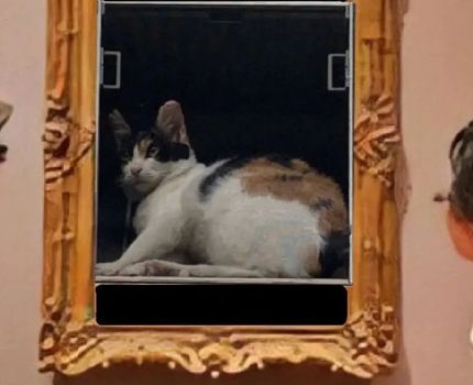 墙上挂了一幅猫咪画像，路人走近一看