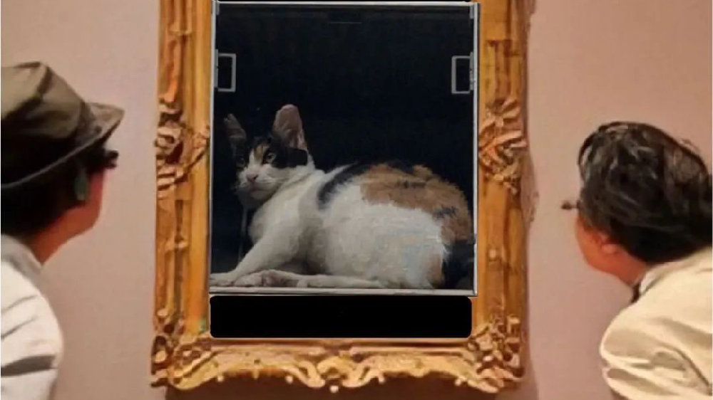 墙上挂了一幅猫咪画像，路人走近一看