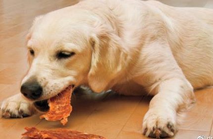 狗狗吃肉越多就越健康吗？